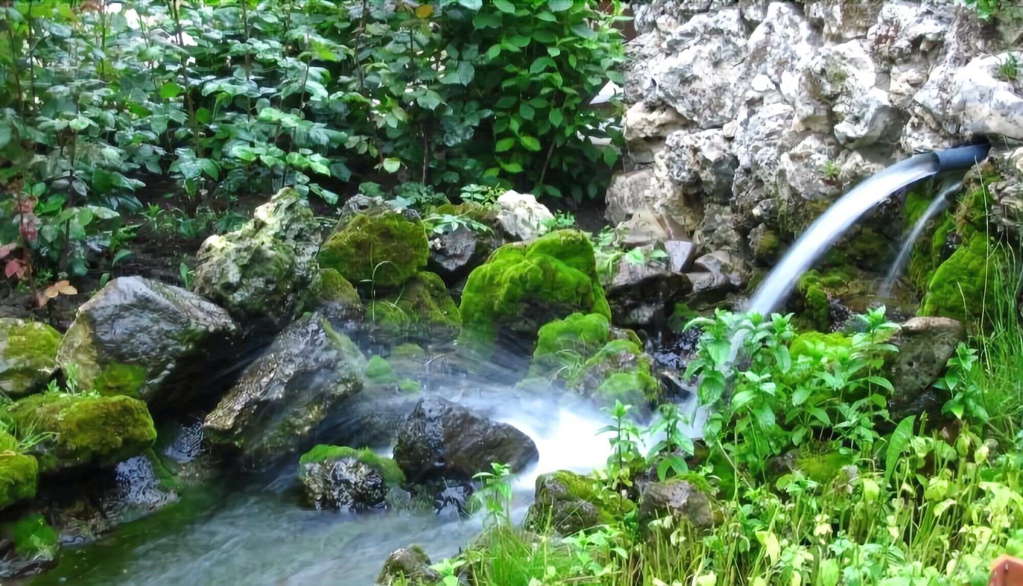 Hotel Izvora Kranevo Dış mekan fotoğraf